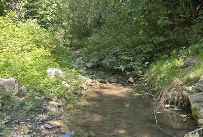 Casă cu 3 camere în Aita Seacă - 1