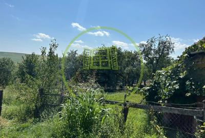 Casă individuală cu 4 camere cu Teren 2188 Mp în Rediu - 5