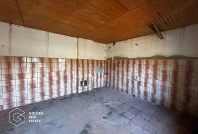 Teren intravilan 71.000mp, Barsa, Renumita Fabrica de caramida si casa 4 camere - 10