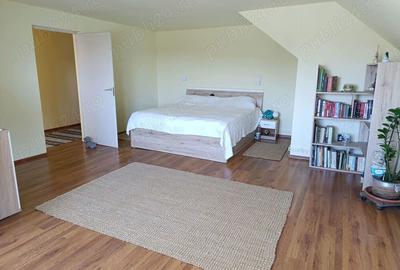 Casă cu 6 camere cu Teren 2000 Mp în Săcălaz - 2