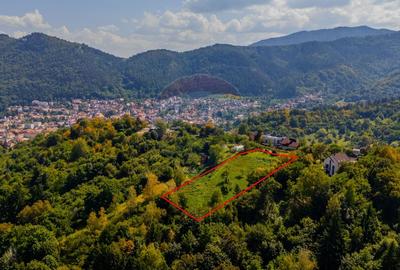 COMISION 0% Teren 2700mp / Strada Coltul Putinarilor/Poiana Brasov - 2