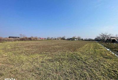 Teren de 3802 mp, în Dăeni - 6