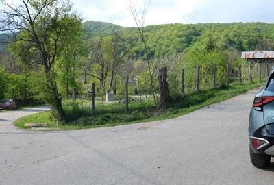 7700 Euro vanzare 220 mp teren asfalt apa gaz si curent Cosminele Prahova superb - 14