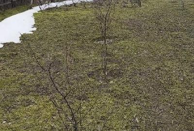 Teren de 1168 mp, în Frumușița - 3