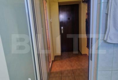 Garsonieră, mobilată în Triaj - 13