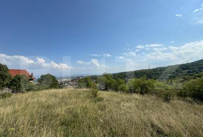 Teren intravilan de vanzare, 1495 mp, in Deva - 2