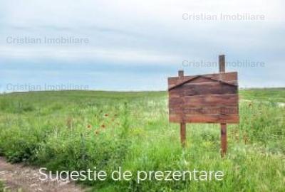 Teren intravilan de 1200 mp, în Cazasu - 1