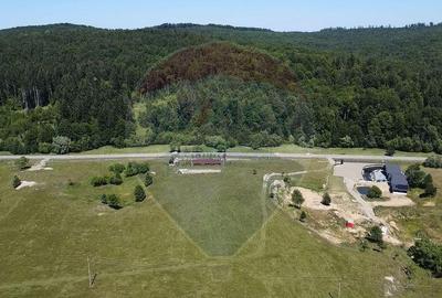 Teren 5,561mp Paltinoasa / Strada principala - 11