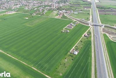 Teren de 40578 mp, în Ciorogârla - 6