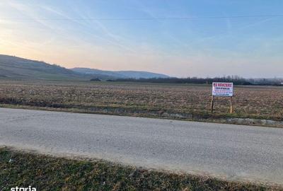 Teren de 2000 mp, în Crușeț - 4