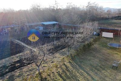 Vila Dumbrava Rosie - Izvoare - 4