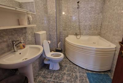Apartament cu 3 camere decomandat în Dosu Bricii - 3