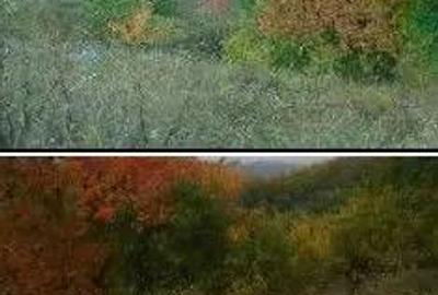 Teren Faneata extravilan, Vizantea Livezi, ID: R2800539 - 5