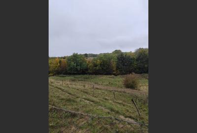 VIla de vanzare Teisani Stubeiu 11250 mp - 5