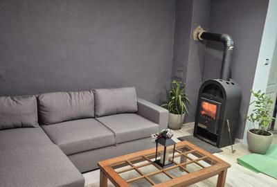 Casă cu 2 camere în Provița de Sus - 6