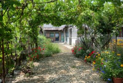 Casă cu 4 camere cu Teren 1300 Mp în Central - 8