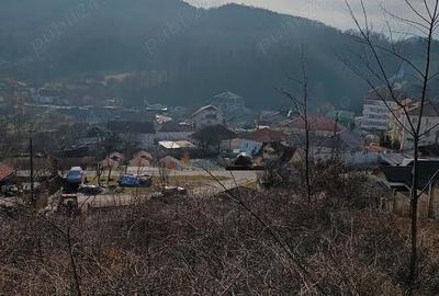 Teren de 1000 mp, în Mătișești (Ciuruleasa) - 3