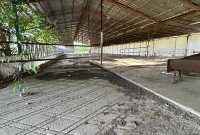 Teren 9.508 mp cu 2 fronturi stradale Sofronea, Arad - 5