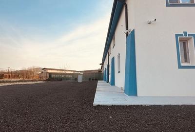 Spațiu industrial, de 435 mp, în Giroc - 10