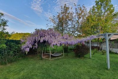 SNAGOV SAT OAZA DE LINISTE SI RELAXARE LINGA PADURE-TEREN 1200 MP - 3