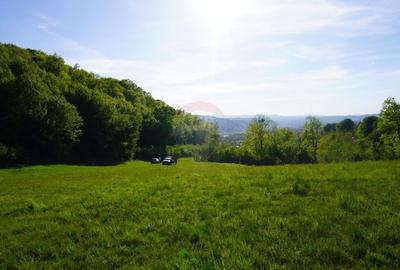 Teren 33,137mp Sighetu Marmatiei / Strada Mocanitei - 3