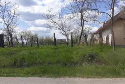 Teren de 1745 mp, în Ianova - 3