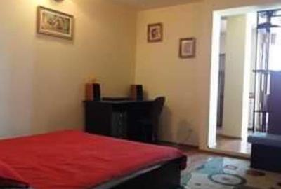 Apartament cu o camera Pod Ros - 7