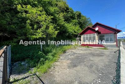 Spatiu comercial spre iesire din Loc. Deva (spre Mintia) zona Izvorul Decebal, Jud. Hunedoara. - 2