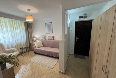 Garsonieră semidecomandată în Vest - 4