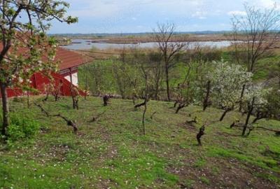 ID 7852 Teren pentru casa - Strada Orizontului - 4