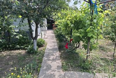 Casă cu 3 camere în Central - 2