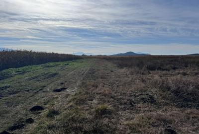 Teren de vanzare in Harman 4,4 Hectare - 2