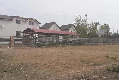 Casă în Albești - 4