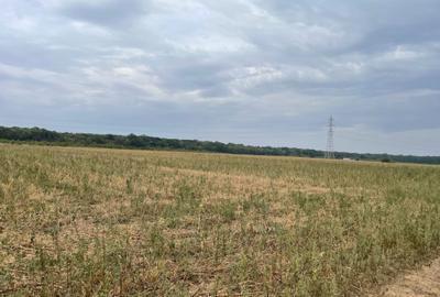 Teren de 5000 mp, în Periș