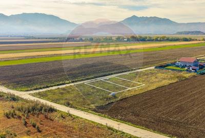 Teren Construcții intravilan de 650 mp, în Nord - 2