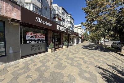 Stefan cel Mare - spatiu comercial stradal 120mp - 2