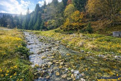 Teren de 4591 mp, în Plaiul Foii - 3