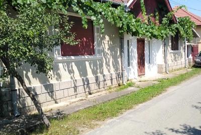 Casă cu 4 camere în Petid - 10