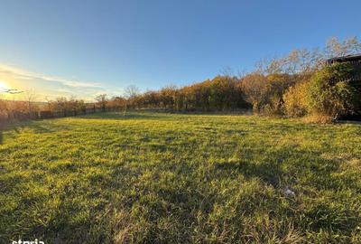 Teren de 3323 mp, în Ineu - 1