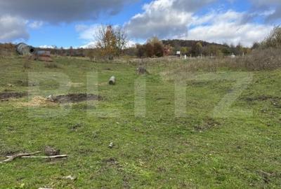 Parcela ideala de 10,5 ari - spatiu, liniste si potential Parcela ideala de 10,5 ari - spatiu, liniste si potential - 3