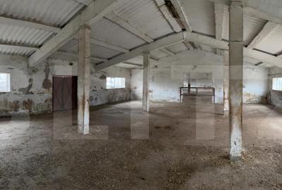 Spațiu comercial, de 740 mp, în Iratoșu - 5