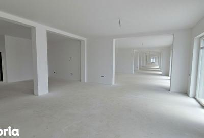 Spațiu comercial, de 250 mp, în Central - 1