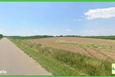 Spațiu comercial, în Coceana - 2