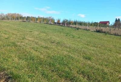 Teren de 3800 mp, în Spătărești - 1