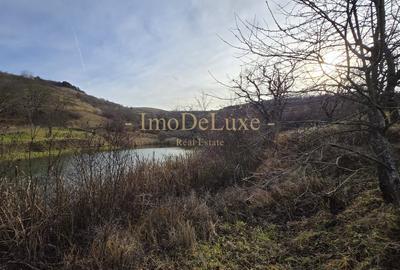 Teren extravilan langa lac, 8500mp, priveliste, acces, utilitati, zona Baciu - 3