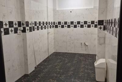 De vânzare Vilă individuala 11 camere curte proprie Parcul Carol - 14