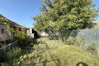 Casa individuala cu 3 camere si anexa, teren 875 mp, Beregsau Mare - 10
