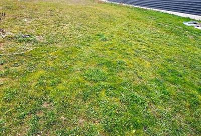 Casa la rosu si teren 500 mp,in cartier de vile,com. Dumbrava Rosie - 1