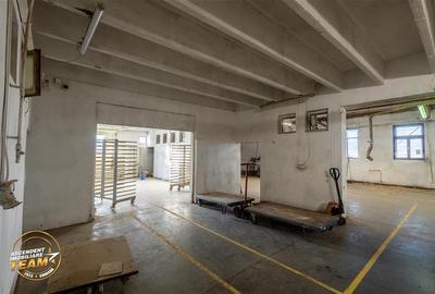 Spațiu comercial, de 1,341 mp, în Valea Crișului - 7