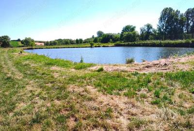 Teren 18.247 mp cu balta de pescuit Misca, Comuna Chislaz, Bihor - 4